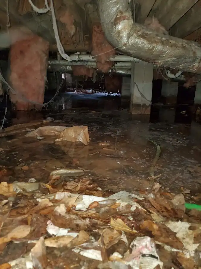 Crawl space flood assessment for Leak Detection & Repair in North Lakes