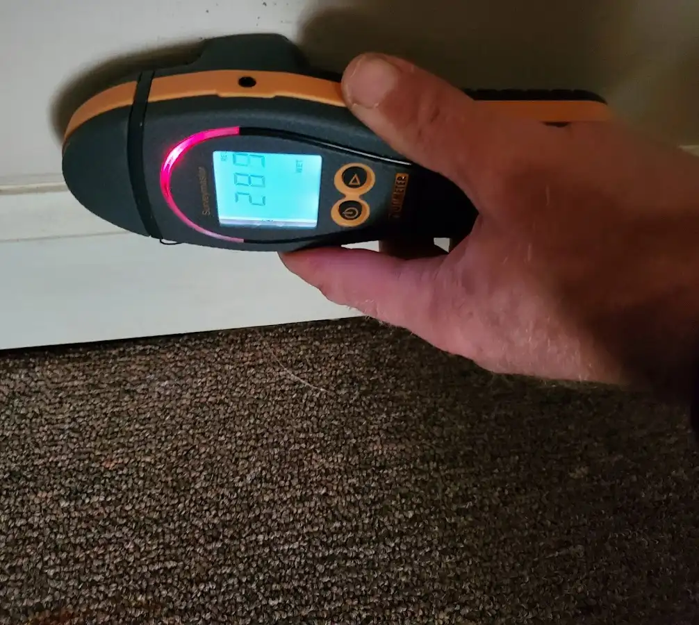 Moisture detection at baseboard during Mold Inspection & Testing in North Lakes